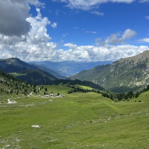 Kaserillalm