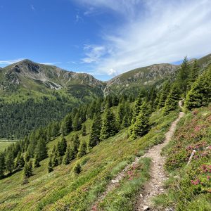 Passo Cadin nach Passo Cagnon