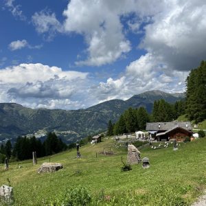 Hütte Van Spitz