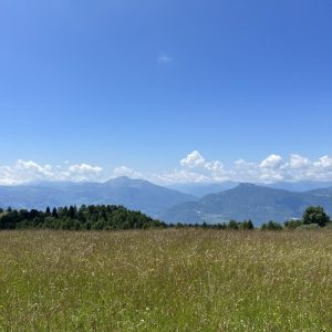 Monte Finonchio