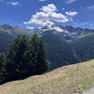 Ciama de Piazzi