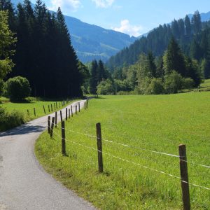 Kurzer Grund