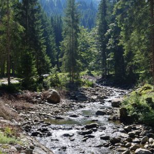 Kurzer Grund