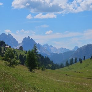 Plätzwiese