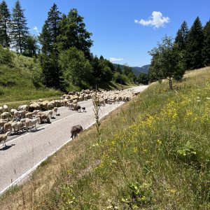 Passo del Sommo