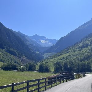 Zillergrund