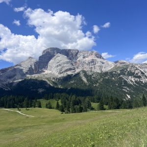 Plätzwiese