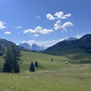 Plätzwiese