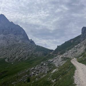 Forc. Ambrizzola