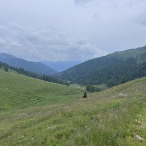 Malga Val Cion