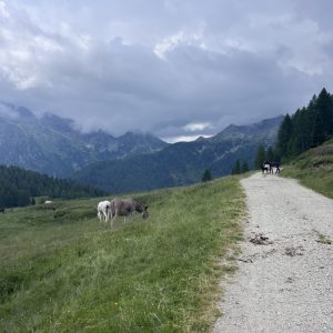 Passo Cinque Croci