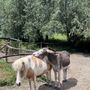 Val Sugana