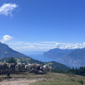 Le Prese - Monte Stivo