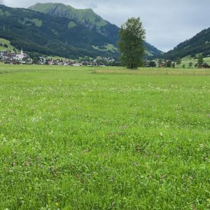 2021_Tag1_Ehrwald