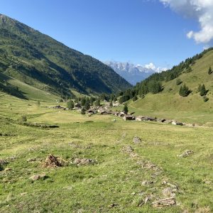 Case di Viso