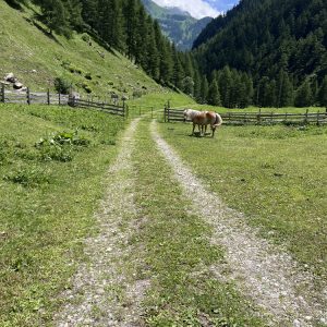 Passertal